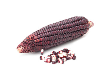 purple corn