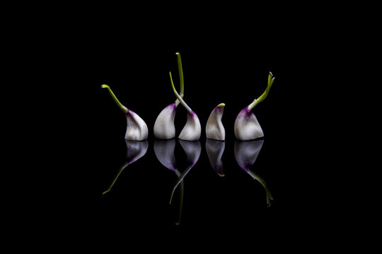 Garlic On Black Reflection Background