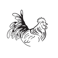Symbol of 2017 new year by chinese calendar. Hand drawn vector rooster.
