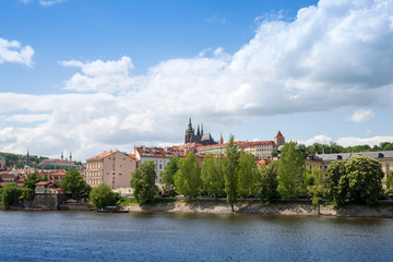 Fototapeta premium the St. Vitus Cathedral 