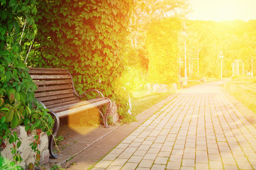 Obraz premium bench 