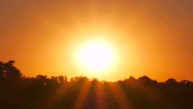 Sonnenuntergang &uuml;ber Wald