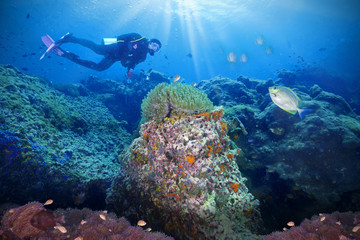 Obraz na płótnie Canvas Divers and coral reef