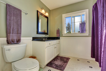 Bathroom interior with olive walls and purple shower curtain