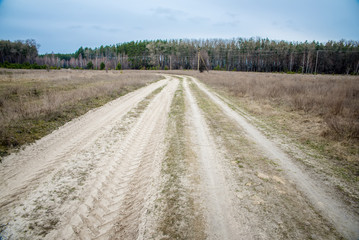 Naklejka premium dirt road to the forest 