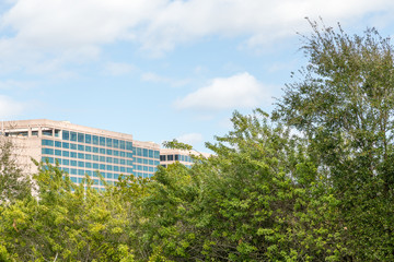 Modern Hotel Beyond Tropical Greenery