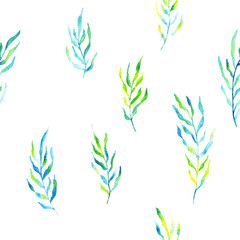 watercolor pattern of seaweed water plant on white