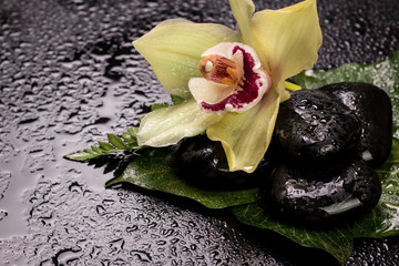 spa concept with stones, flowers , essential oils and mineral salt  on wooden table