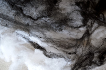 Fototapeta premium Black and white spiderwebs