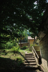 View of idyllic sunny garden with steps leading to the house under tree crown