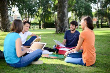 group of young students sitting together on green lawn high school university campus