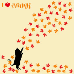 Cat and falling autumn leaves. Maple leaf, autumnal. Cats silhouettes.