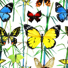 watercolor butterfly pattern