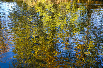 natural pattern - reflection of autumn trees in the park in pond water at an easy wave.
