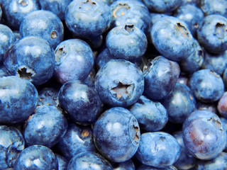 Blueberries, fresh berries, full frame shot
