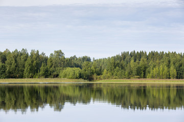 Obraz premium Morning sun by the lake. Water reflects the forest.