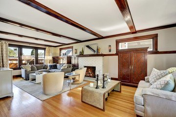 American luxurious living room interior in grey and brown tones