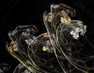 fractal champagne
