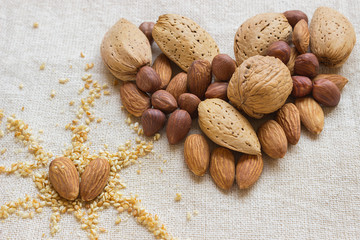 Symbol - the heart, composed of different nuts. Concept - health