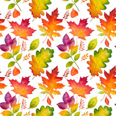 Autumn watercolor leaves. Fall illustrations. - 119143504