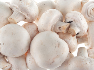 button mushrooms