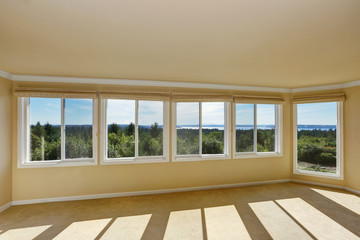 Empty room in beige and yellow colors with carpet floor