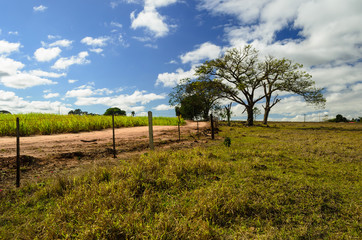 Obraz premium estrada rural brasileira sob um céu azul