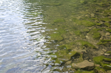 clean and clear water of a mountain lake

