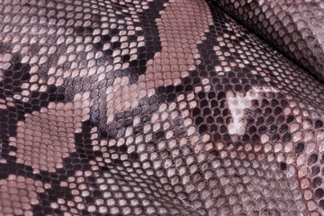 Python snakeskin leather background, snake skin, texture, animal, reptile