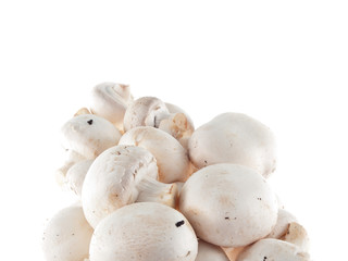 button mushrooms