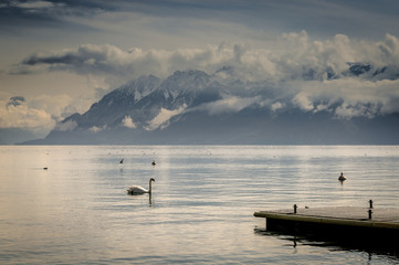 Leman lake in Lausanne