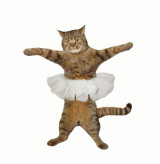 A cat looks like a prima ballet dancer. It's wearing a skirt. The white background.