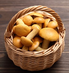 Edible mushrooms.
