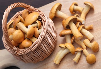 Edible mushrooms.