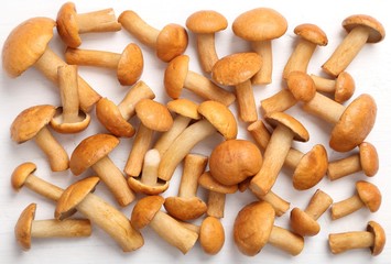 Edible mushrooms.