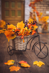 Small decorative bicycle with basket filled with yellow autumn leaves and grapes berries on the wooden floor.