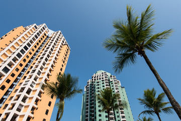 Fototapeta na wymiar Tall Condominium Buildings and Palm Trees in Blue Sky