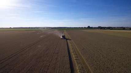 Aerial View Of Combine Harvester Working In Wheat Field