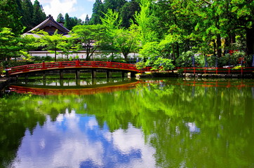 高野山檀上伽藍の蓮池