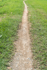 Fototapeta na wymiar Pathway in the green lawn