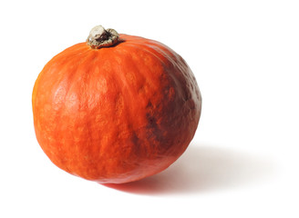 Orange hokkaido pumpkin, isolated on white background