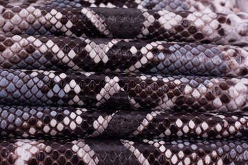 Python snakeskin leather background, snake skin, texture, animal, reptile