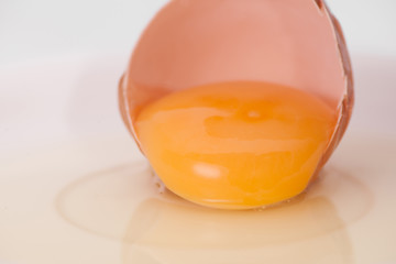 broken egg on white background close up
