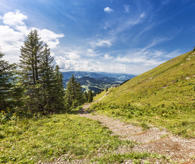 Obraz premium Panorama View from the Way to the Summit Nagelfluhkette, Oberstaufen, Allgäu, Alps, Germany 