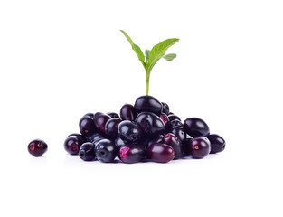 Jambolan plum or Java plum on white background.