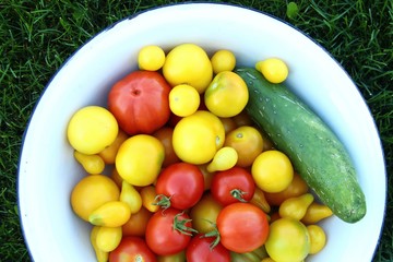 tomaten und gurken in schüssel I