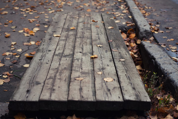 Fallen autumn yellow leaves on the ground