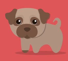 dog cartoon pet animal con. Colorful and flat design. Vector illustration
