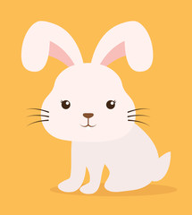 rabbit cartoon pet animal con. Colorful and flat design. Vector illustration