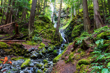 Waterfall in Vancouver